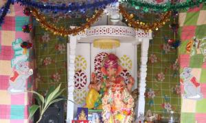 'We can go hungry, but bringing Ganesha home is mandatory'