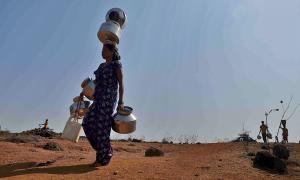'The impact of El Nino is always a matter of concern'