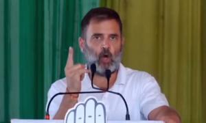 Leave alone 400, BJP won't get more than...: Rahul