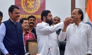 Results show to whom Sena, NCP belong: Mahayuti