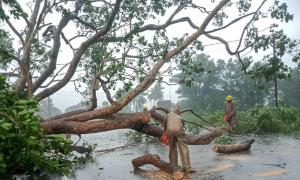 Cyclone Dana: Crops on 1.75L acre damaged in Odisha