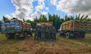 Myanmar refugees in Assam camp launch hunger strike