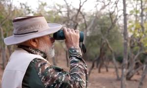 SEE: Modi goes on lion safari on World Wildlife Day