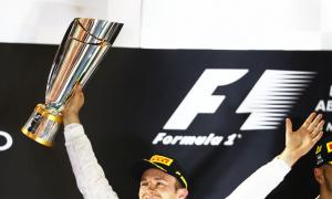 PHOTOS: How Rosberg took the Formula One title from Hamilton