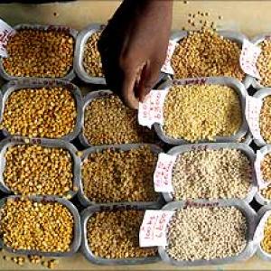 Centre raises support price for pulses by Rs 250/quintal