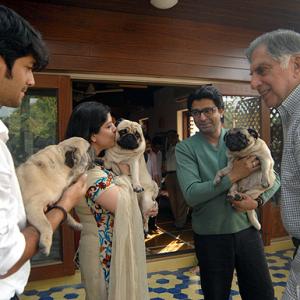 Ratan Tata now funds love for dogs