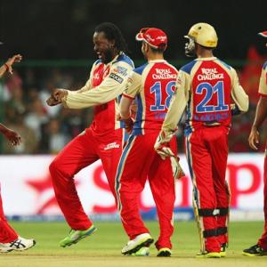 It's make or break for Royal Challengers
