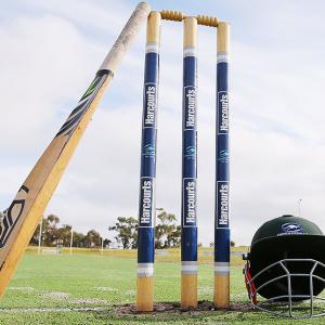 Pakistani cricketer dies after being hit by a bouncer