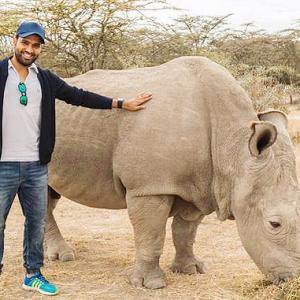 Rohit joins Hollywood stars in Kenya's anti-poaching campaign