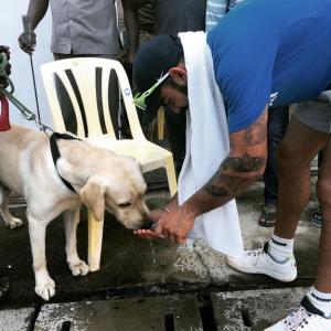 PHOTOS: Dog lover Kohli shows his other side