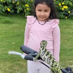 Ziva Dhoni's cute encounter with a chameleon