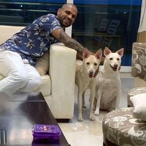 PIX: Dhawan welcomes two new 'family members'