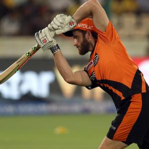 There is apprehension: Williamson ahead of IPL