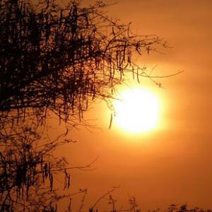 The sun shines on India II: Your pics