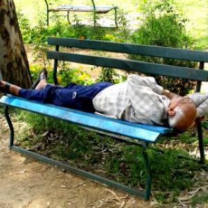 Unusual summer pics: Snoozing on a park bench!