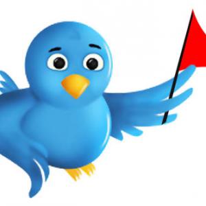 IT ministry asks Twitter to reinforce security