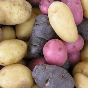 Health benefits of eating potatoes
