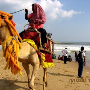 Odisha travel: Exploring India's east coast