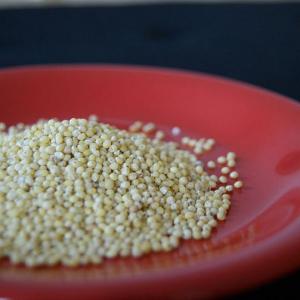 Eating healthy: 4 ways to cook millet