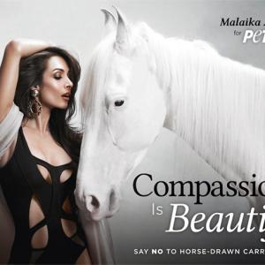 Hold your horses: Malaika has something to say!