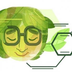 Google celebrated her 100th birthday. Who was Asima Chatterjee?