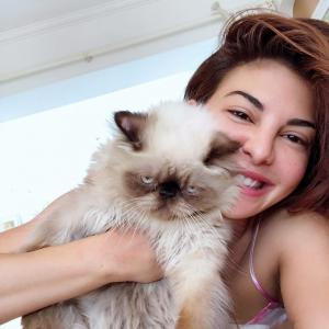 Have you met Jacqueline and Aliaa's cats?