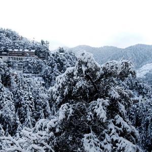Pics: 10 reasons why you must visit Himachal in winter, not summer!