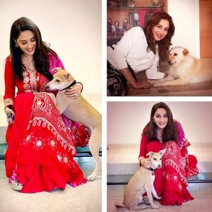 Aww! Have you met Madhuri's pets?