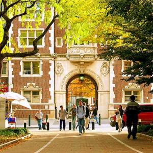 Top 100 universities in the world