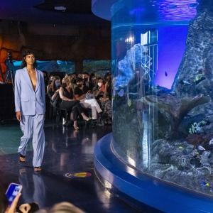 Oh fish! A fashion show in an aquarium