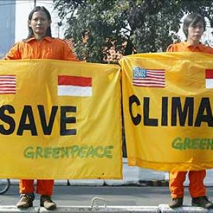 Govt suspends Greenpeace India's registration, freezes bank accounts
