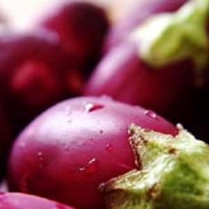 Why the US is so keen to sell Bt brinjal to India