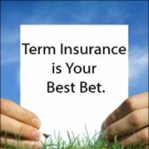 Opting for insurance? Term plans are the best