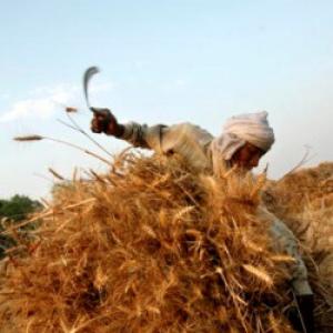 G20 ministers praise India's rural job scheme