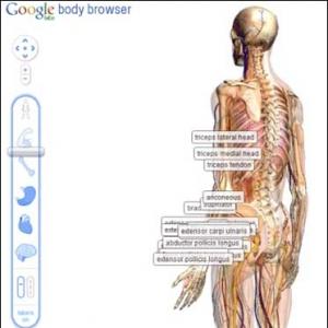 New Google browser to map human body!