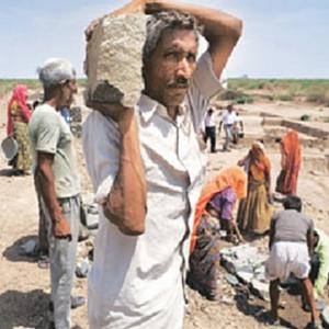 NREGA can't curb distress migration in Rajasthan