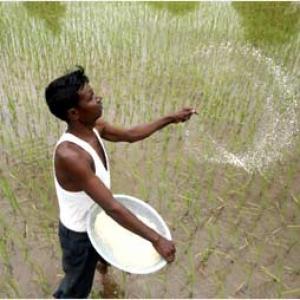 Major tax relief to agriculture, related sectors