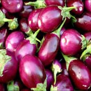 10 state governments say no to Bt brinjal
