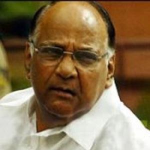 Why Pawar must quit as agriculture minister