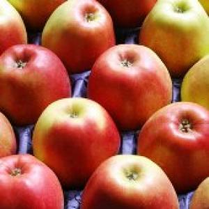 Apples get 40% cheaper, thanks to bumper crop