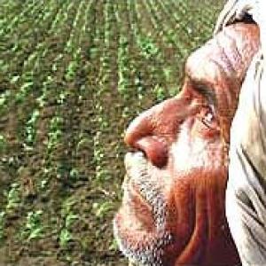 India's farm sector grows 3.8%