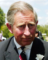 Charles discusses climate change with corporates