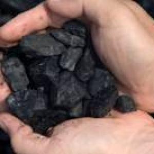 CIL may scrap anchor investor placement