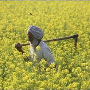 Soon, farmers can insure against losses from natural disasters
