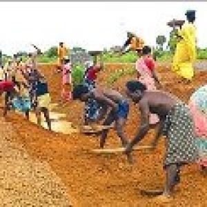 NREGA wages to be hiked