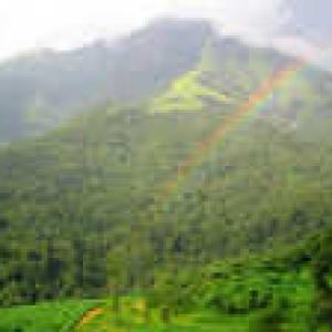 CIC orders report on Western Ghats be made public
