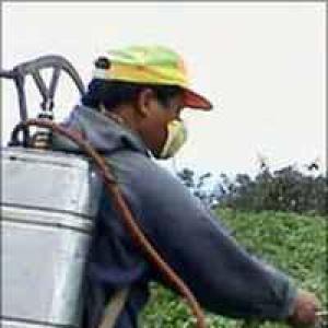 Budget: Excise duty hiked to 12 per cent on pesticides