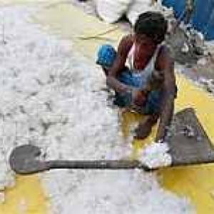 Cotton export to Bangladesh may hit 13.5 mn bales