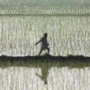Norms made stringent in draft of Land Acquisition Bill