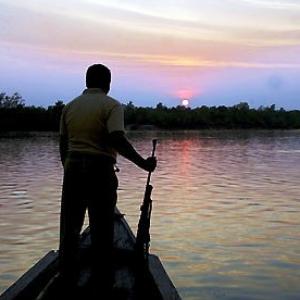 Sunken oil tanker threatens the Sundarbans